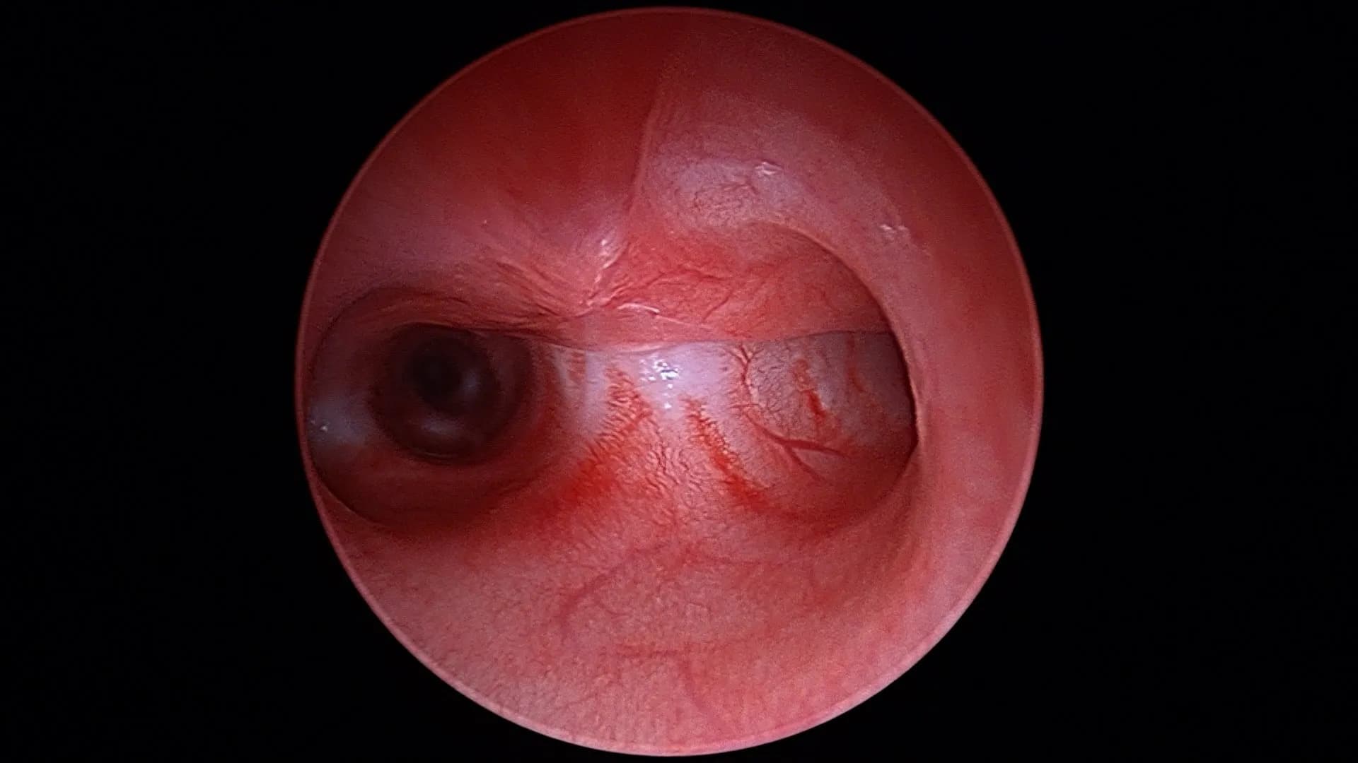 diagnostik-foto