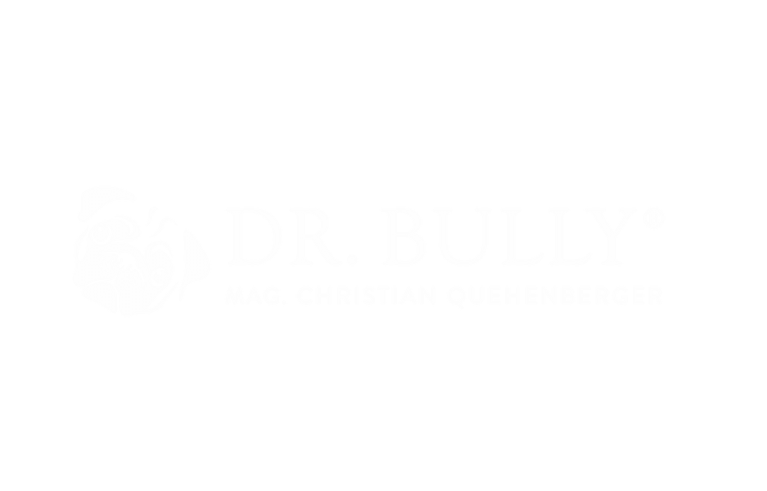 bully-logo