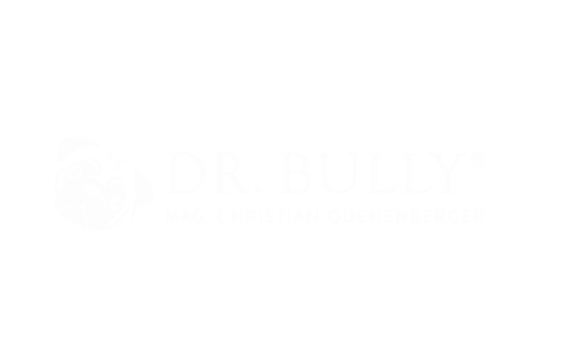 bully-logo-hell