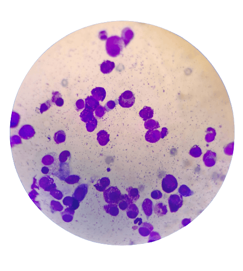 diagnostik-foto