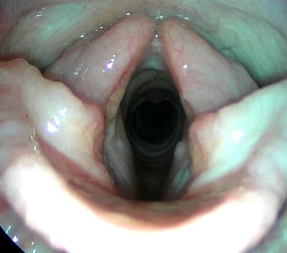 diagnostik-foto
