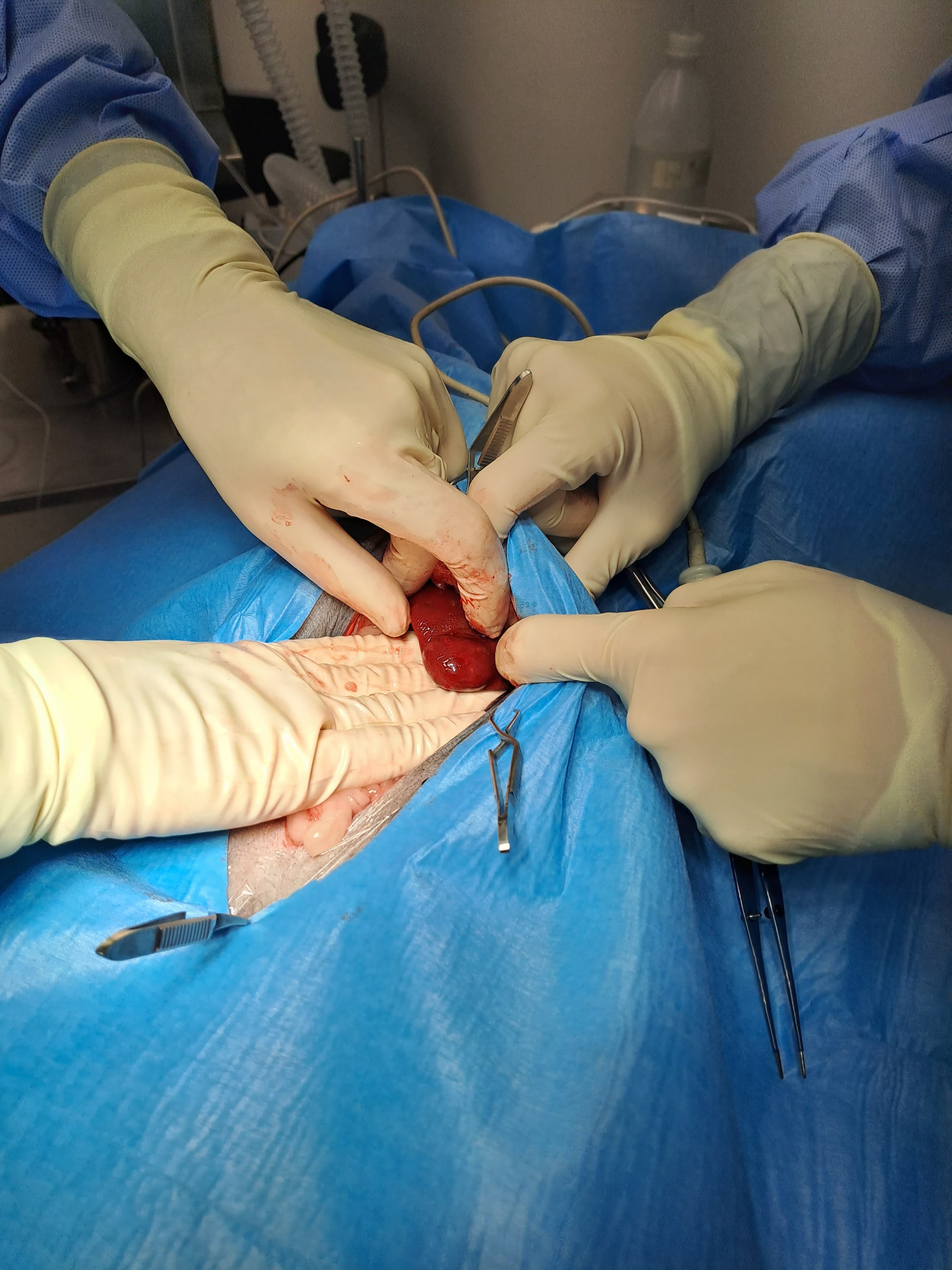 Chirurgie-foto