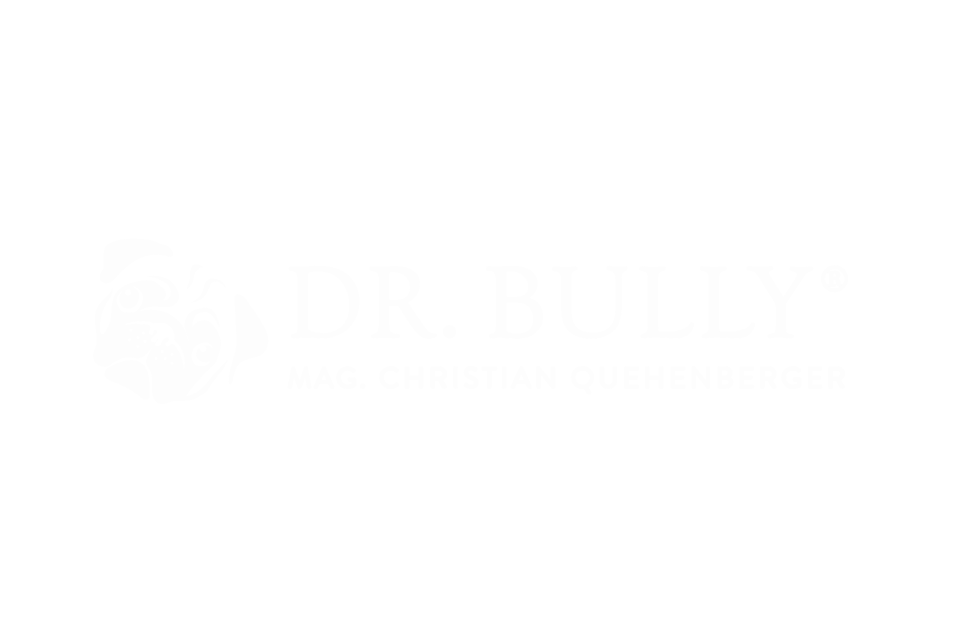 bully-logo-hell
