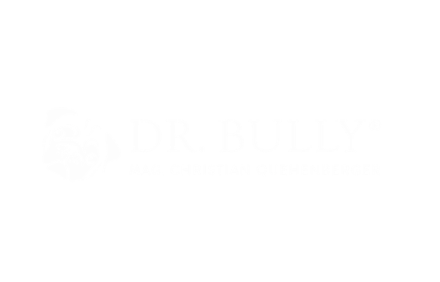 komplexlappentechnik-bully-logo